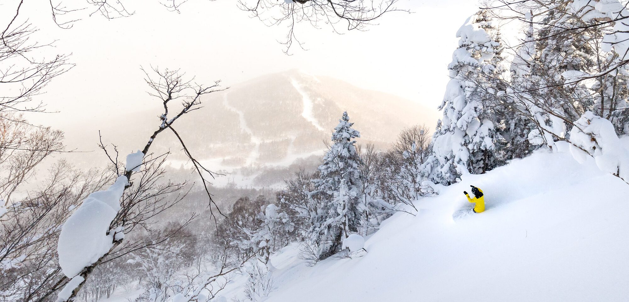 Deep powder skiing in Japan